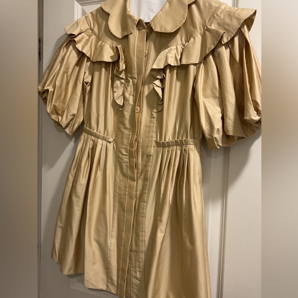 Farm Rio Ruffle Puff-Sleeve Mini Dress - Picture 9 of 12